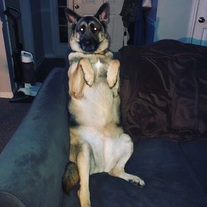 Meet your Posher, Michael